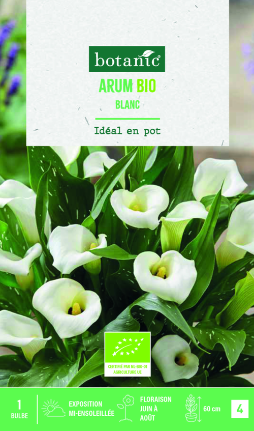 Visuel 1 du produit Bulbe de fleurs Arum bio blanc botanic® – 1 bulbe