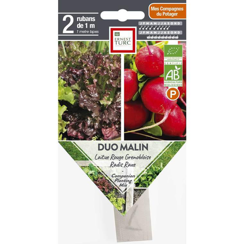 Visuel 1 du produit Graines présemées de Duo malin salade rouge et radis Ernest Turc - 2 rubans de 1 m