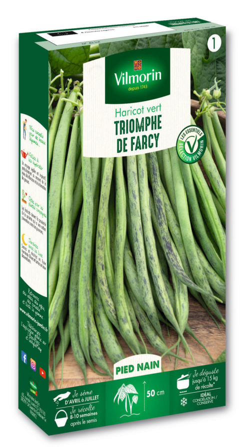 Visuel 1 du produit Haricot nain à filet Triomphe de Farcy Vilmorin - graines à semer