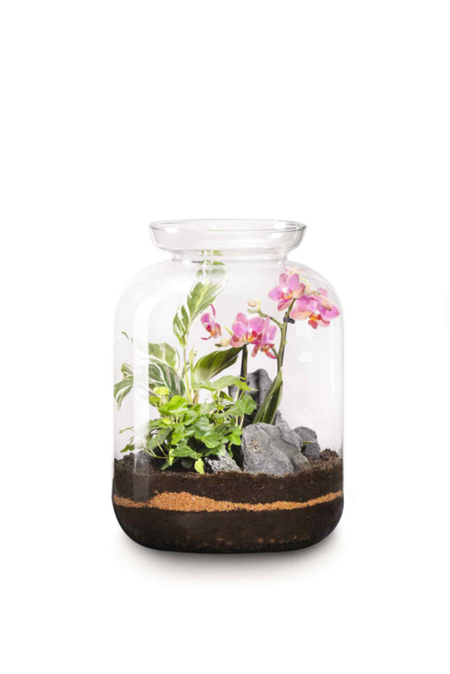 Visuel 1 du produit Terrarium Bonbonne S Elégant botanic® - Ø 25 x 31 cm