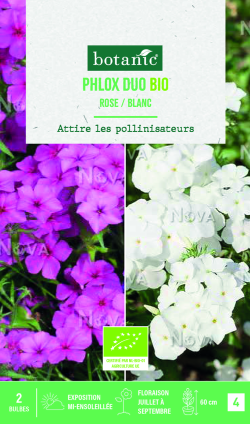 Visuel 1 du produit Bulbes de fleurs Phlox bio rose / blanc botanic® - 2 bulbes