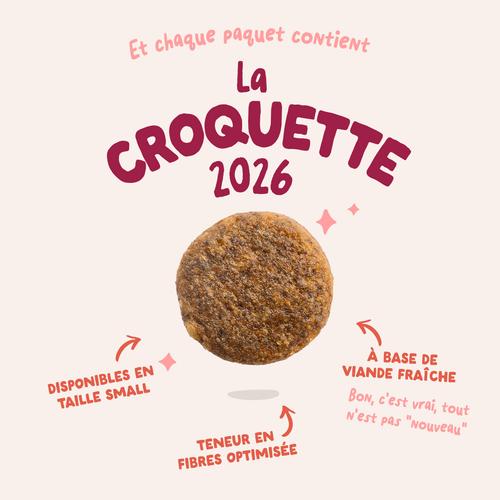 Visuel 3 du produit Croquettes pour chien senior au poulet et au saumon sans céréales Edgard & Cooper - 2,5 kg