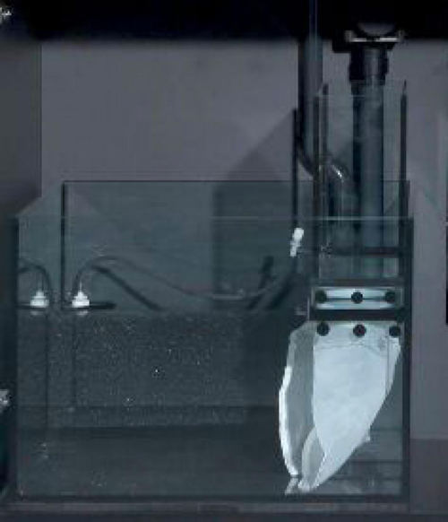 Visuel 1 du produit Kit d'amélioration Max E 260 pour aquarium, inclus décantation dans le meuble - RED SEA AQUARIUM