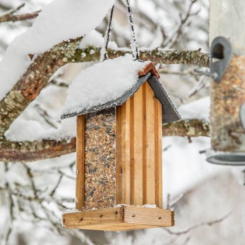 Visuel 2 du produit Mélange de graines pour oiseaux Grain de Vie - 7 kg