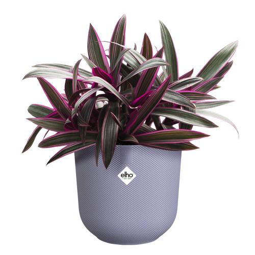 Visuel 6 du produit Cache-pot coloris violet Jazz Elho - Ø 14 cm