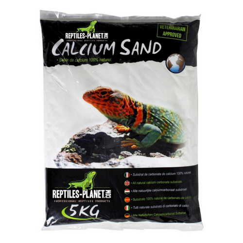 Visuel 1 du produit Sable de calcium pour terrarium coloris blanc Reptile Planet Sechura Natural - 5 kg
