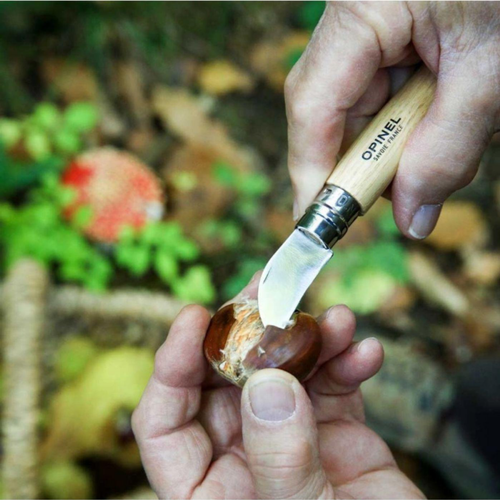 Visuel 2 du produit Couteau en bois et acier inoxydable Opinel n°7 Châtaigne