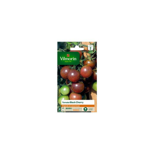 Visuel 1 du produit Graines de Tomate black cherry Vilmorin - graines à semer