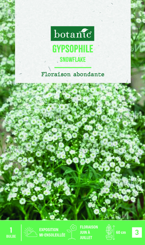 Visuel 1 du produit Bulbe de fleurs Gypsophile snowflake botanic® - 1 bulbe