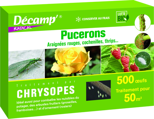 Visuel 1 du produit Chrysopes 500 oeufs