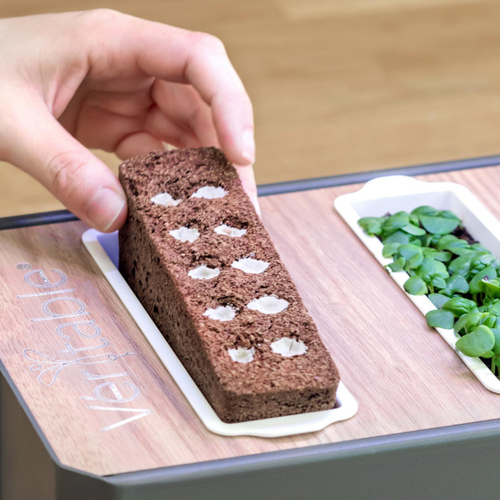 Visuel 5 du produit Potager coloris graphite Gourmet Indoor Véritable avec 6 lingots fournis - 1 étage