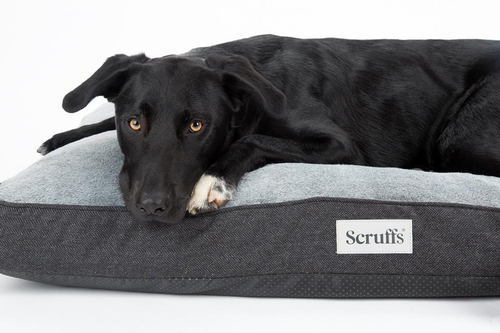 Visuel 10 du produit Couchage orthopédique pour chien coloris gris Scruffs Harvard - Taille L 100 x 70 x 12 cm