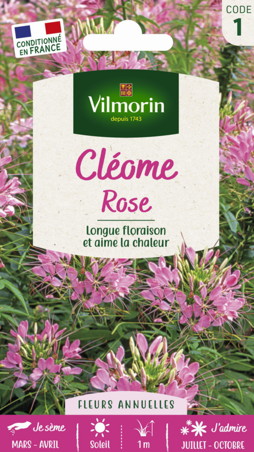 Visuel 1 du produit Graines de Cléome rose Vilmorin - graines à semer