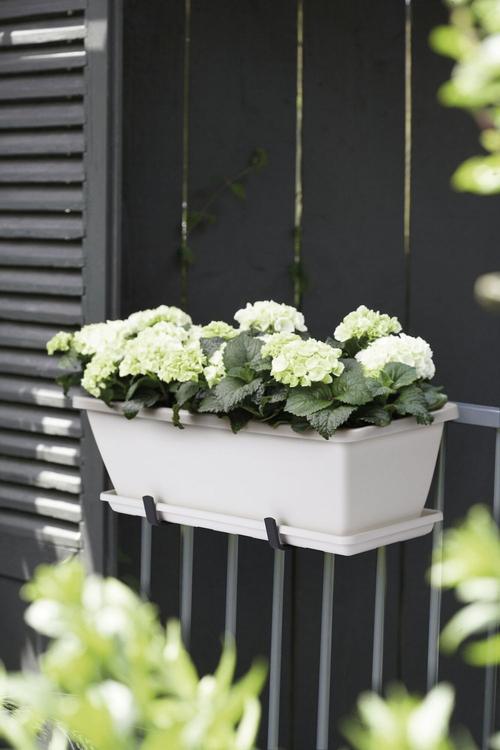 Visuel 4 du produit Soucoupe de balconnière blanche Elho Barcelona - 70 x 20 cm