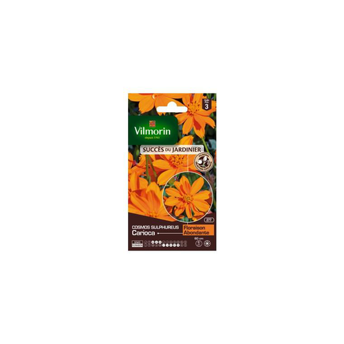 Visuel 1 du produit Graines de Cosmos Sulfureux Carioca orange Vilmorin graines d’exception - graines à semer