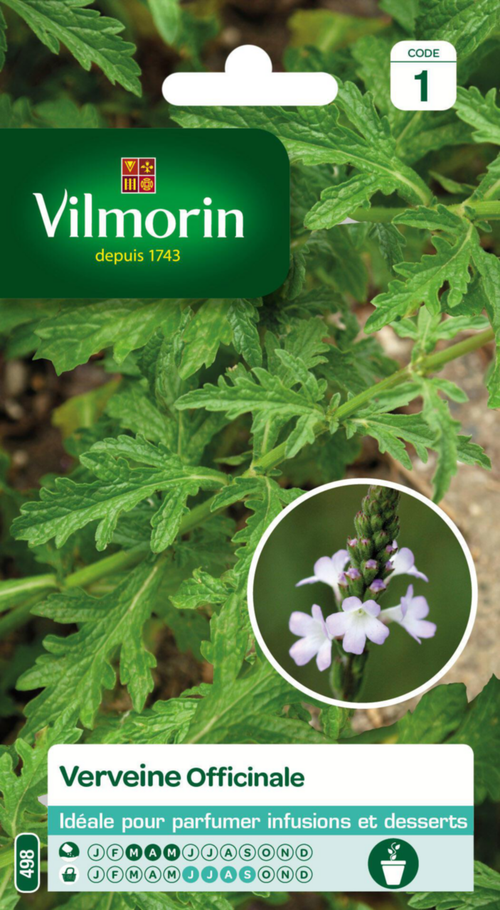 Visuel 1 du produit Verveine officinale Vilmorin - graines à semer