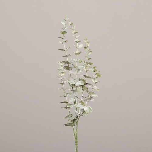Visuel 1 du produit Branche d’eucalyptus vert - 73 cm