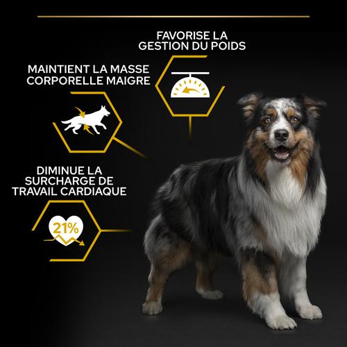 Visuel 6 du produit Croquettes light pour chien stérilisé toutes tailles Pro Plan - 14 kg + 2,5 kg