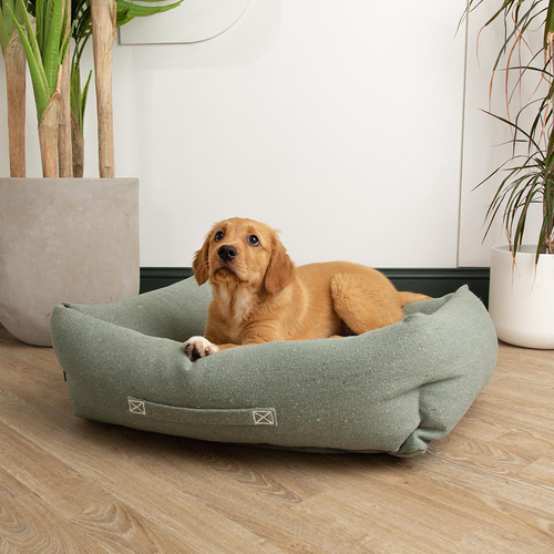 Visuel 4 du produit Couchage pour chien coloris vert corbeille Scruffs Eco Eden - Taille M 60 x 50 cm