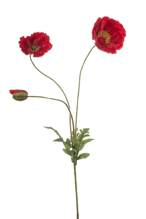 Visuel 1 du produit Tige de coquelicots artificiels rouges 3 fleurs - 25 x 25 x 75 cm