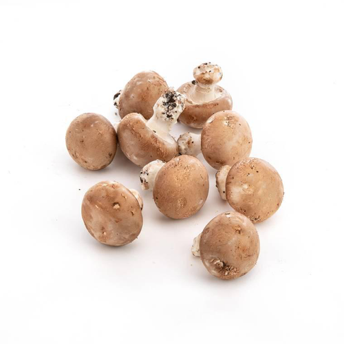 Visuel 1 du produit Champignons de Paris bruns biologiques - prix au kg