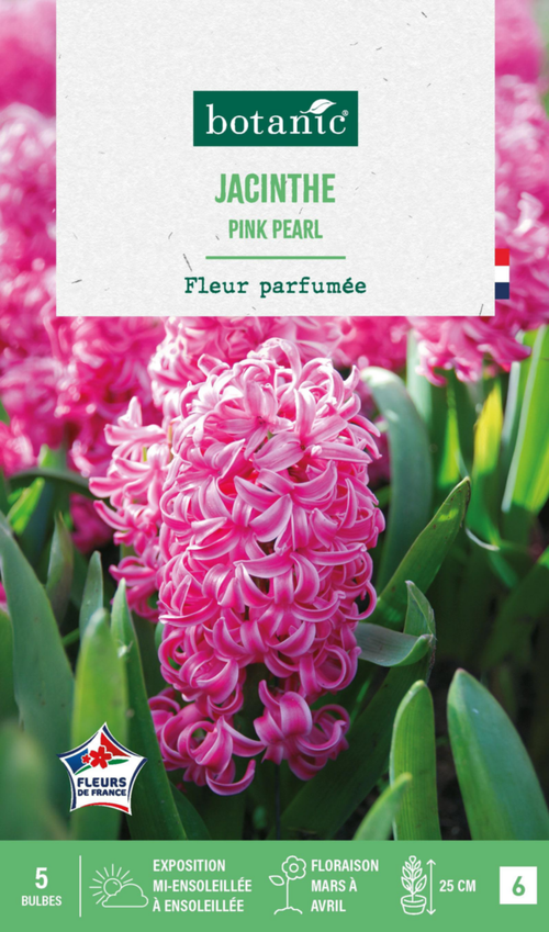 Visuel 1 du produit Jacinthe pink pearl botanic® - 5 bulbes