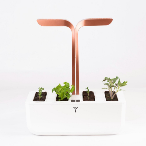 Visuel 6 du produit Kit de semis et bouturage pour potager Véritable®