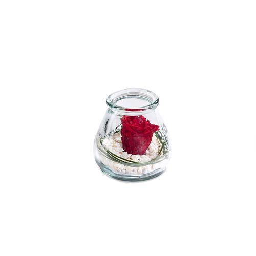 Visuel 1 du produit Verrine de végétaux stabilisés rose rouge Naturalys Samy S - Ø 10 x H 10 cm