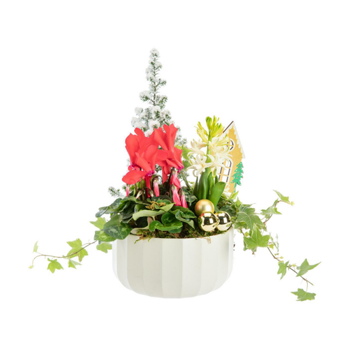 Visuel 1 du produit Composition festive pot blanc - Ø 20 cm