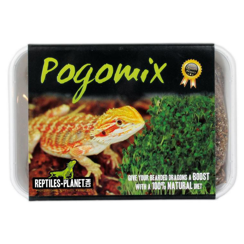 Visuel 1 du produit Mix graines à germer pour Agames Barbus Reptile Planet Pogomix