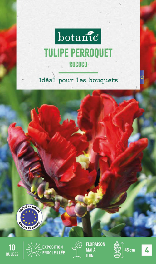 Visuel 1 du produit Tulipe Rococo botanic® - 10 bulbes