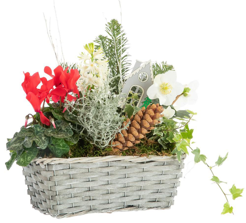 Visuel 1 du produit Composition jardinière vannerie grise - 30 cm