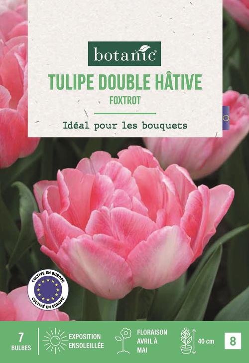 Visuel 1 du produit Tulipe d.h. foxtrot X7