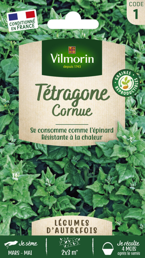 Visuel 1 du produit Tétragone Cornue Vilmorin - graines à semer