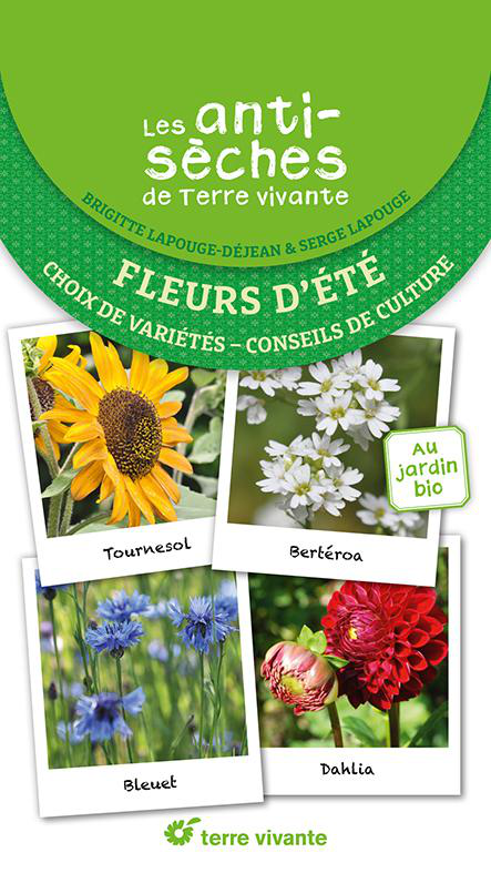 Visuel 1 du produit Livre "Les antisèches : fleurs d'Été" Éditions Terre Vivante