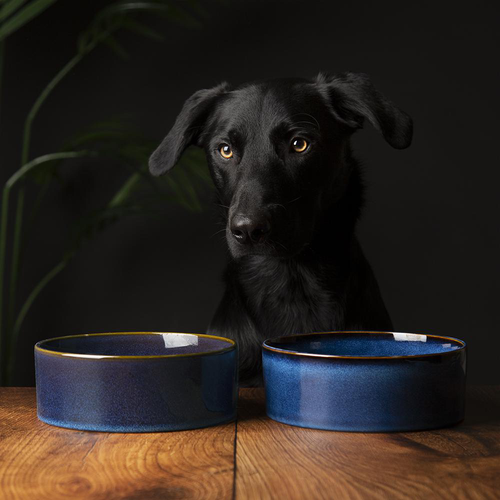 Visuel 2 du produit Gamelle pour chien en grès coloris bleu nuit Reactive Glaze Scruffs - 19 x 19 x 8 cm