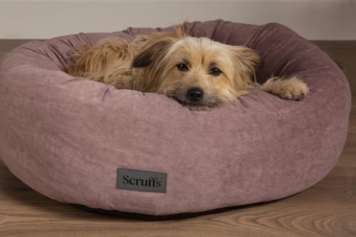 Visuel 4 du produit Corbeille pour chien coloris rose Scruffs Oslo Donut – Taille L