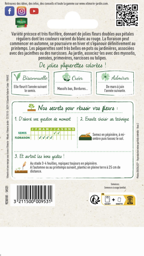 Visuel 2 du produit Pâquerette Tapis varié Vilmorin - graines à semer