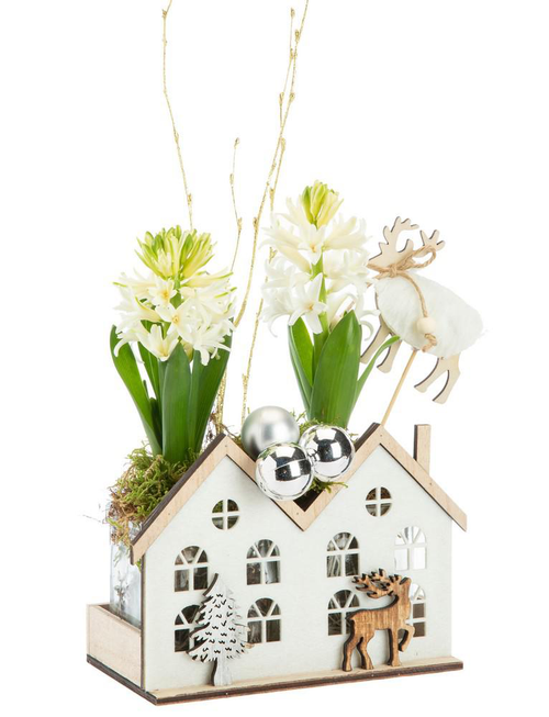 Visuel 1 du produit Jacinthe x 2 maisonnette blanche -16 x 9 cm