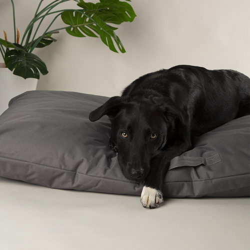 Visuel 5 du produit Couchage pour chien coloris gris coussin imperméable Scruffs Expédition - Taille L 100 x 70 cm