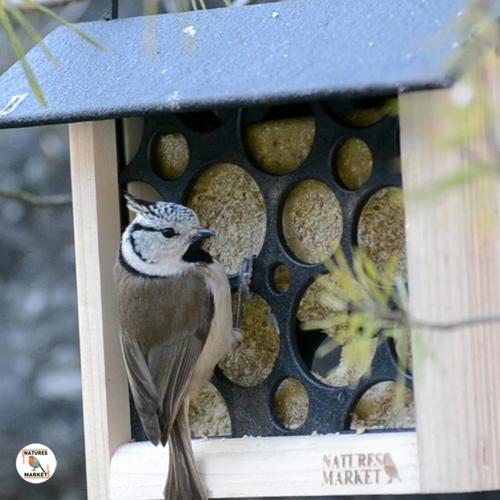 Visuel 2 du produit Repas aux fruits pour oiseaux de la nature Natures Market – 300 g