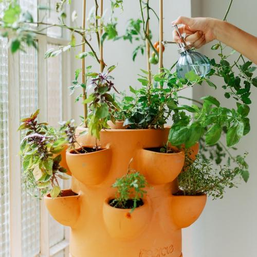 Visuel 4 du produit Potager autofertile 1 étage coloris marron en terre cuite terracotta Ceercle - 20 kg