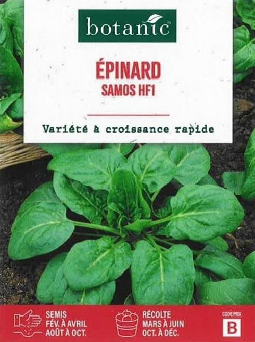 Visuel 1 du produit Graines d'Épinard samos hybride F1 série B botanic®- graines à semer
