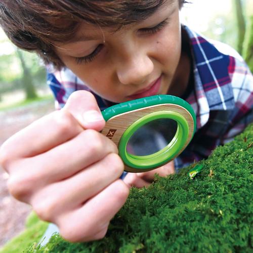 Visuel 3 du produit Kit de détective de la nature en bambou Hape à partir de 5 ans - 15 x 15 x 3,6 cm