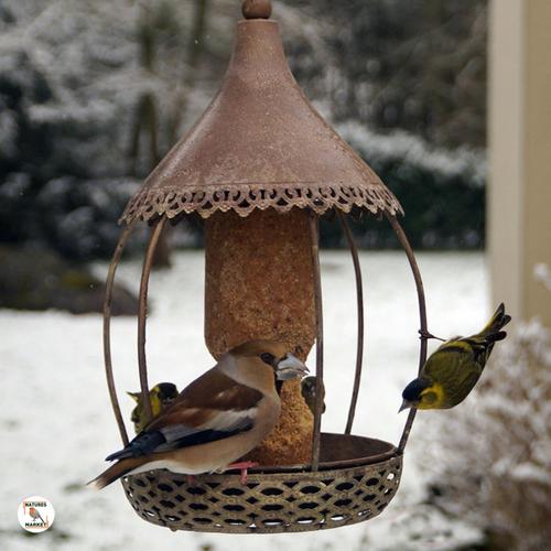 Visuel 4 du produit Kit de mangeoire carrousel gris en métal et cylindre Ø 20 x 32 cm