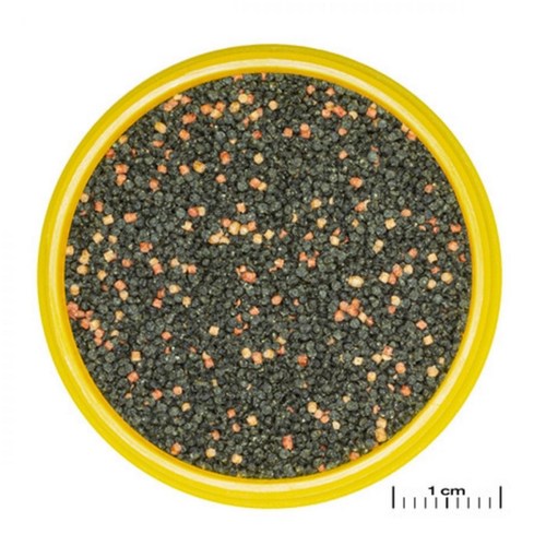 Visuel 2 du produit Granulés pour guppy enrichis - 136g/250ml - JBL ProNovo Grano S