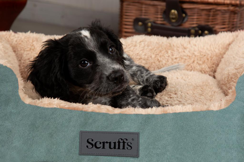 Visuel 4 du produit Corbeille pour chien et chat coloris vert Scruffs Cosy – Taille M