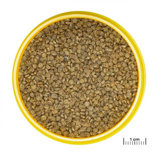 Visuel 2 du produit Nourriture pour gourami, granulés ProNovo, JBL - 115g, 250ml