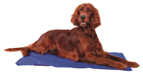Visuel 3 du produit Tapis rafraîchissant pour chien coloris bleu Trixie - 60 x 100 cm