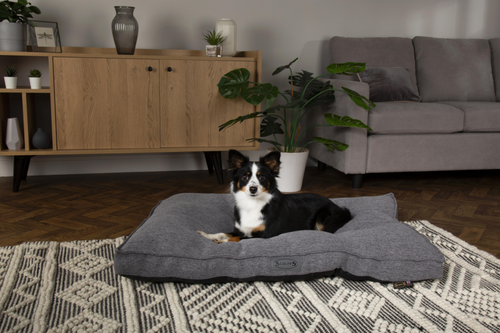 Visuel 6 du produit Coussin pour chien gris foncé Manhattan Scruffs – Taille M